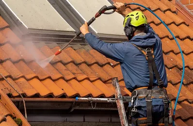 Démoussage et hydrofuge de toiture à Landorthe